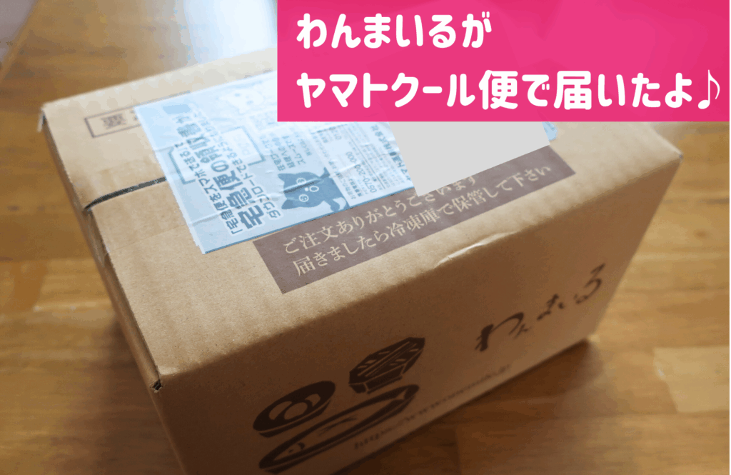 わんまいる届いた