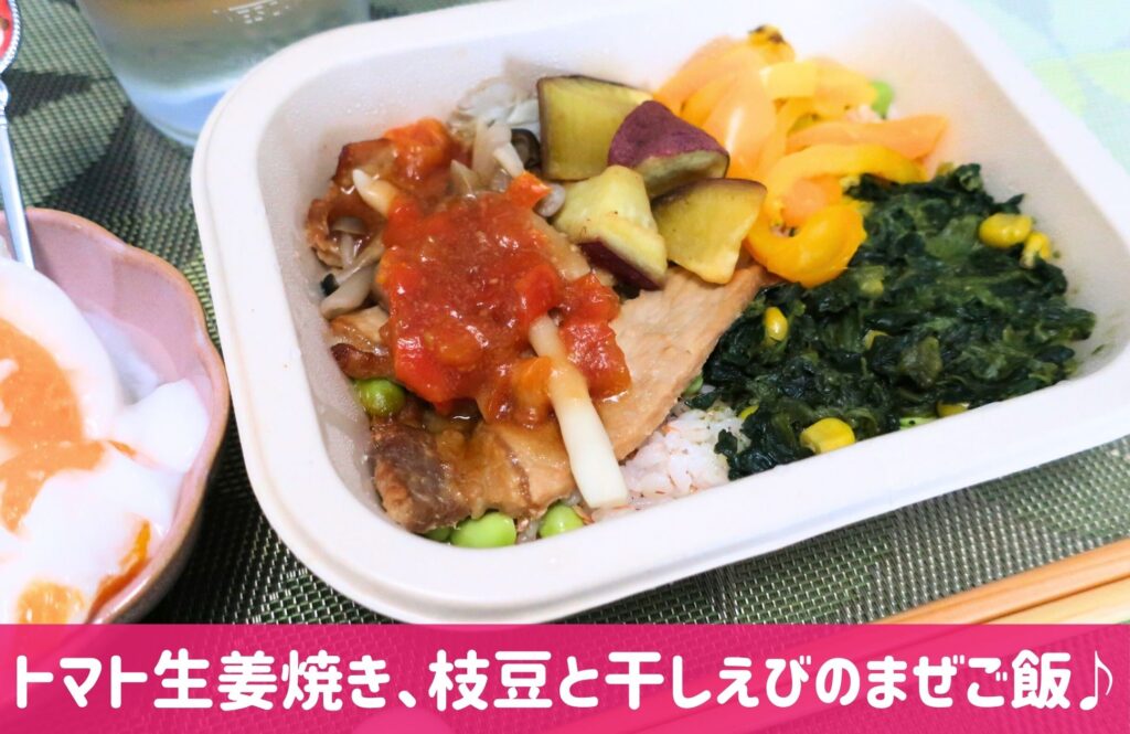 あえて、味の素社の冷凍宅配弁当⑯