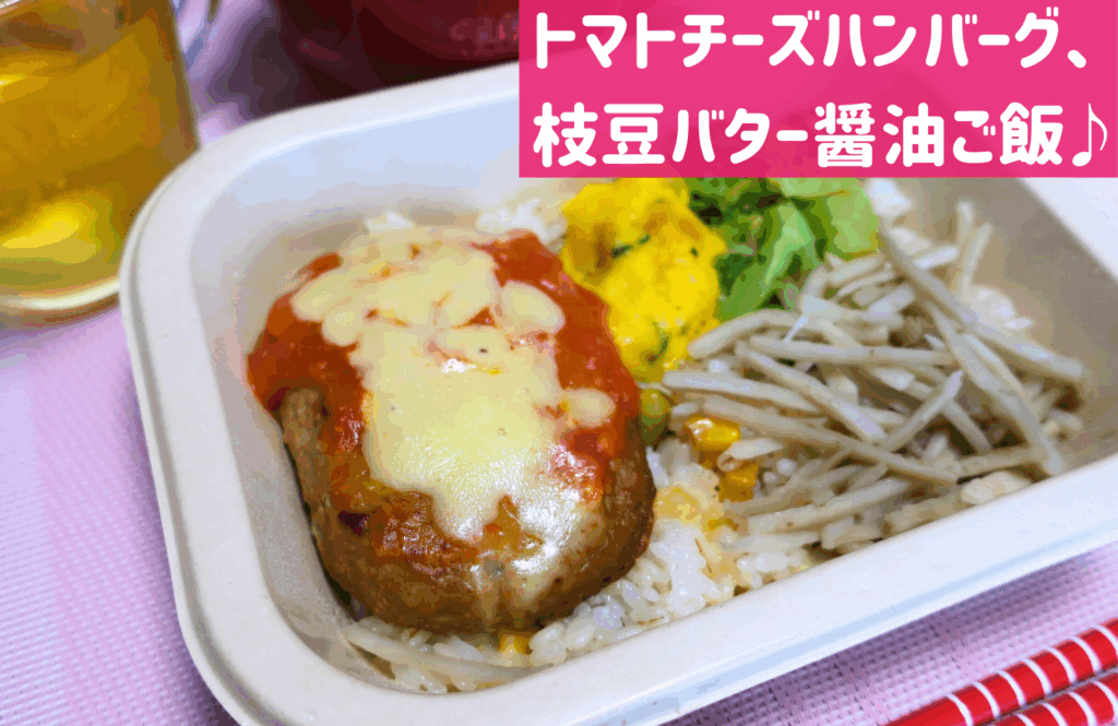 あえて、味の素社の冷凍宅配弁当㉝