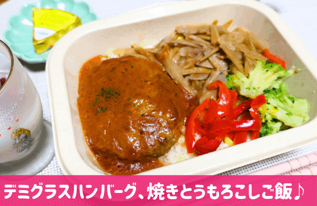 あえて、味の素社の冷凍宅配弁当⑨
