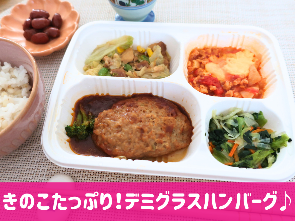 Meals(ミールズ)ハンバーグ