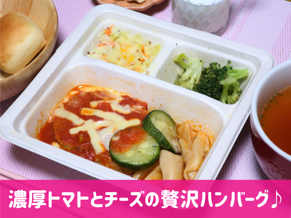 三ツ星ファームハンバーグ１