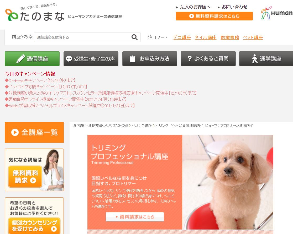 トリマーの資格通信講座おすすめ3選！自宅でドッグ・ペットトリマーに 